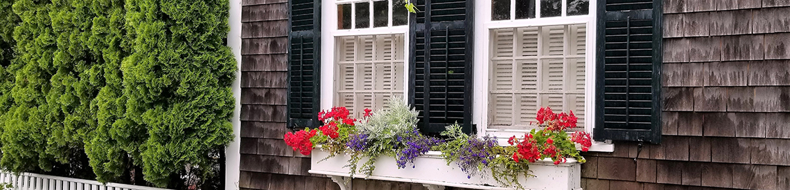 00033-header
